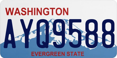 WA license plate AYQ9588