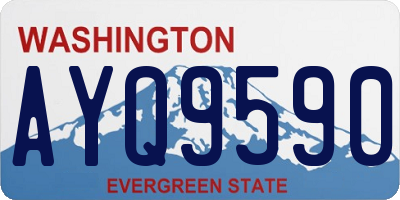 WA license plate AYQ9590