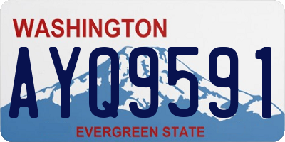 WA license plate AYQ9591