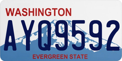 WA license plate AYQ9592