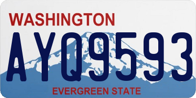 WA license plate AYQ9593