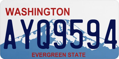 WA license plate AYQ9594