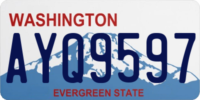 WA license plate AYQ9597