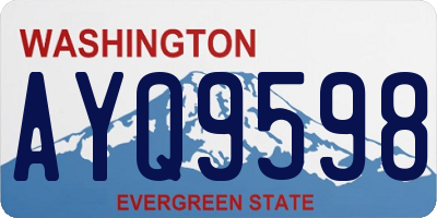 WA license plate AYQ9598