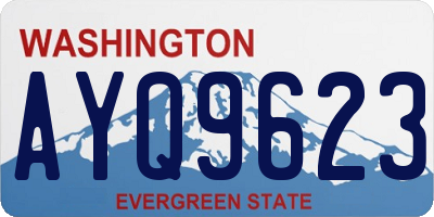 WA license plate AYQ9623
