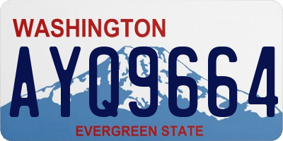 WA license plate AYQ9664