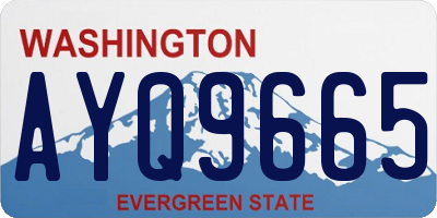 WA license plate AYQ9665