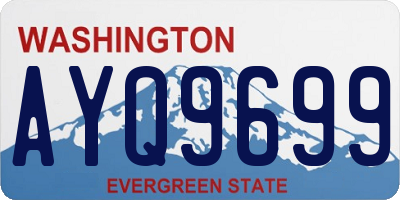 WA license plate AYQ9699