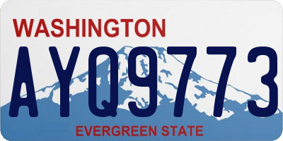 WA license plate AYQ9773