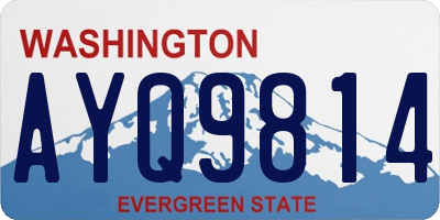 WA license plate AYQ9814