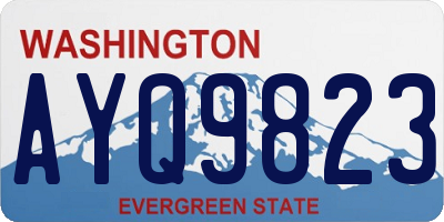 WA license plate AYQ9823