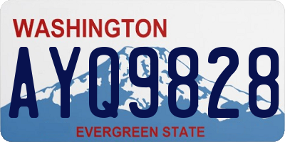 WA license plate AYQ9828