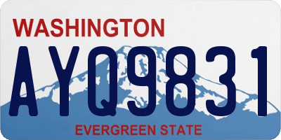 WA license plate AYQ9831