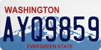 WA license plate AYQ9859