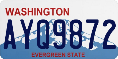 WA license plate AYQ9872