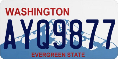 WA license plate AYQ9877
