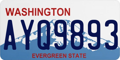 WA license plate AYQ9893