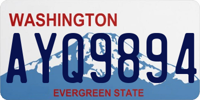 WA license plate AYQ9894