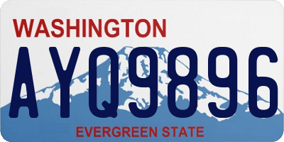 WA license plate AYQ9896