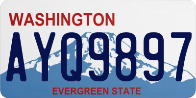 WA license plate AYQ9897