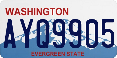 WA license plate AYQ9905