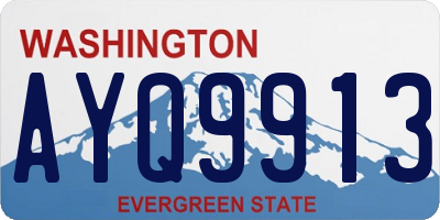 WA license plate AYQ9913