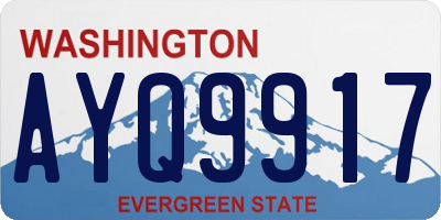 WA license plate AYQ9917