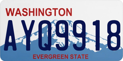 WA license plate AYQ9918