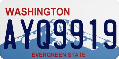 WA license plate AYQ9919