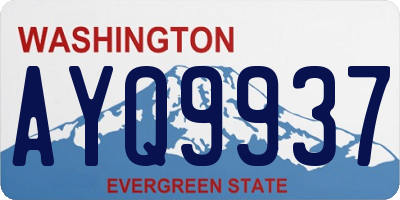 WA license plate AYQ9937