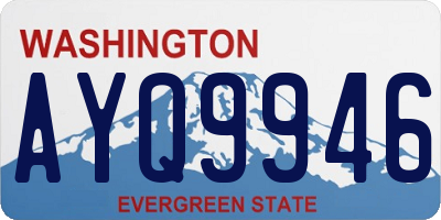 WA license plate AYQ9946