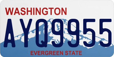 WA license plate AYQ9955