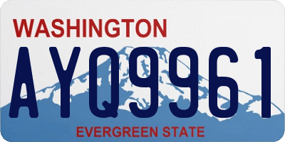WA license plate AYQ9961