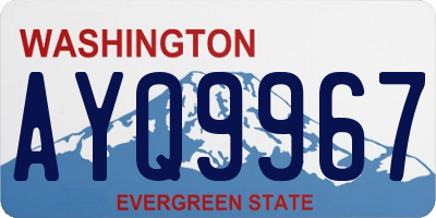 WA license plate AYQ9967