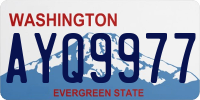 WA license plate AYQ9977
