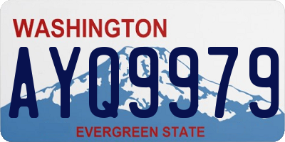 WA license plate AYQ9979