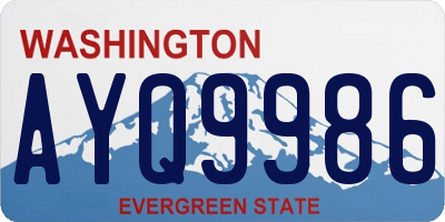 WA license plate AYQ9986
