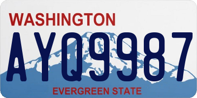 WA license plate AYQ9987