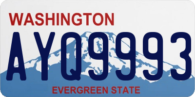 WA license plate AYQ9993
