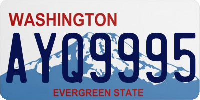 WA license plate AYQ9995