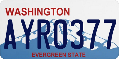 WA license plate AYR0377