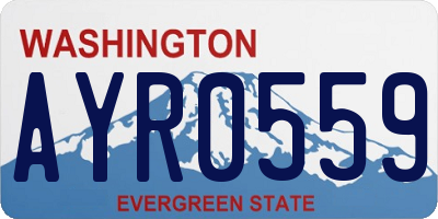 WA license plate AYR0559