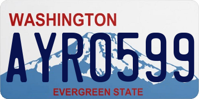 WA license plate AYR0599