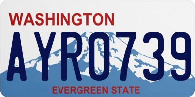 WA license plate AYR0739