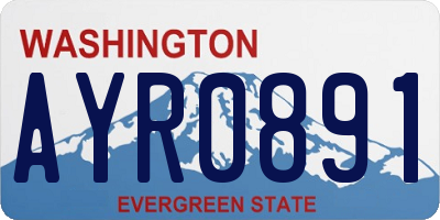 WA license plate AYR0891