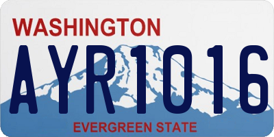 WA license plate AYR1016