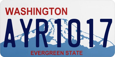 WA license plate AYR1017