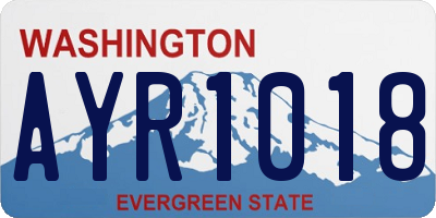 WA license plate AYR1018