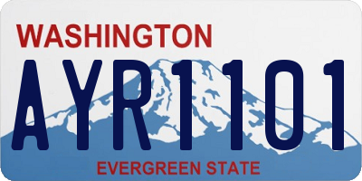 WA license plate AYR1101