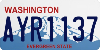 WA license plate AYR1137